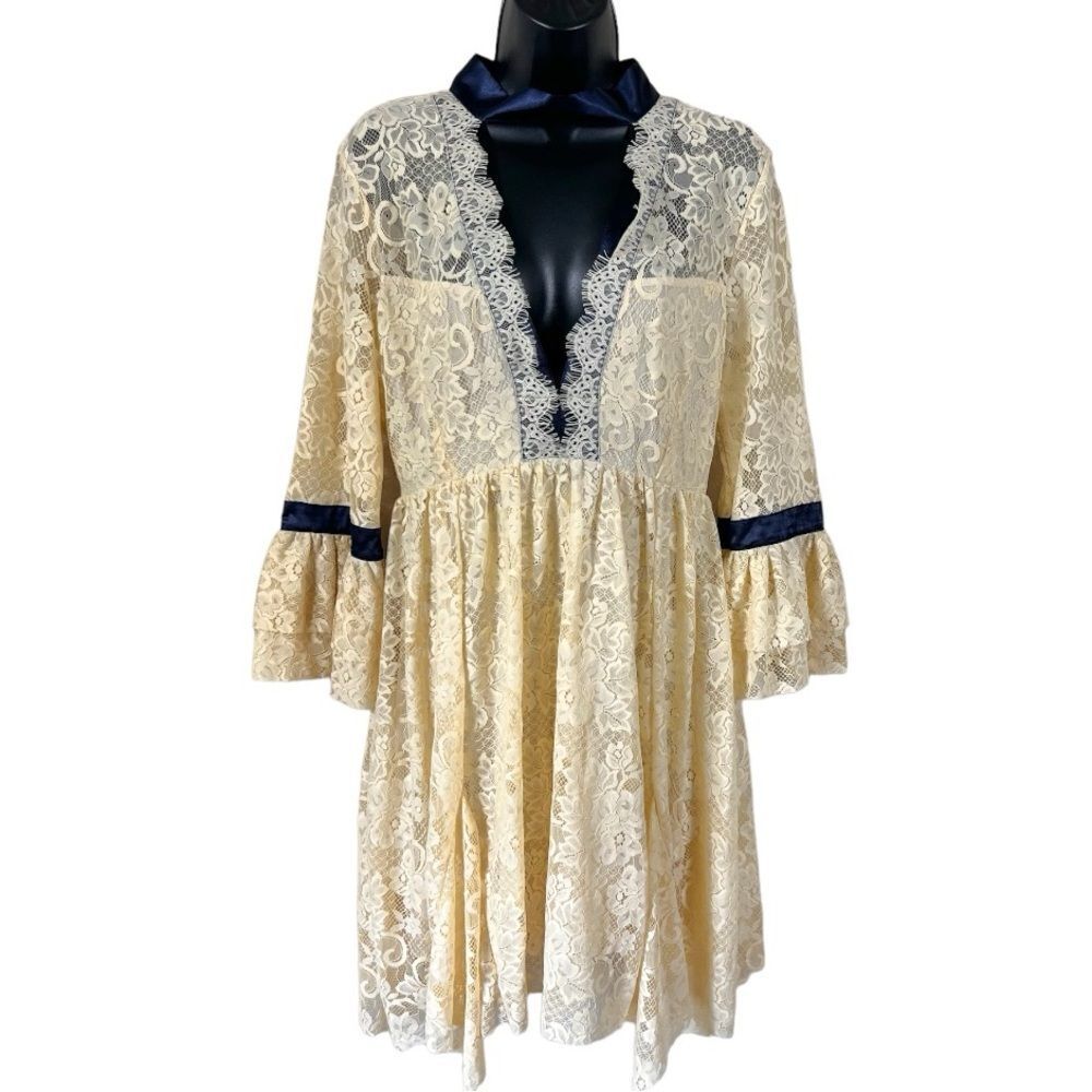 Free People Gilded Lace Mini Dress